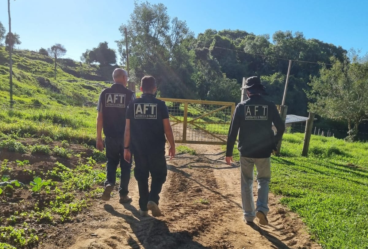 Entrevista: MPT aponta avanços na safra da uva após fiscalizações e reforça orientações aos produtores da Serra