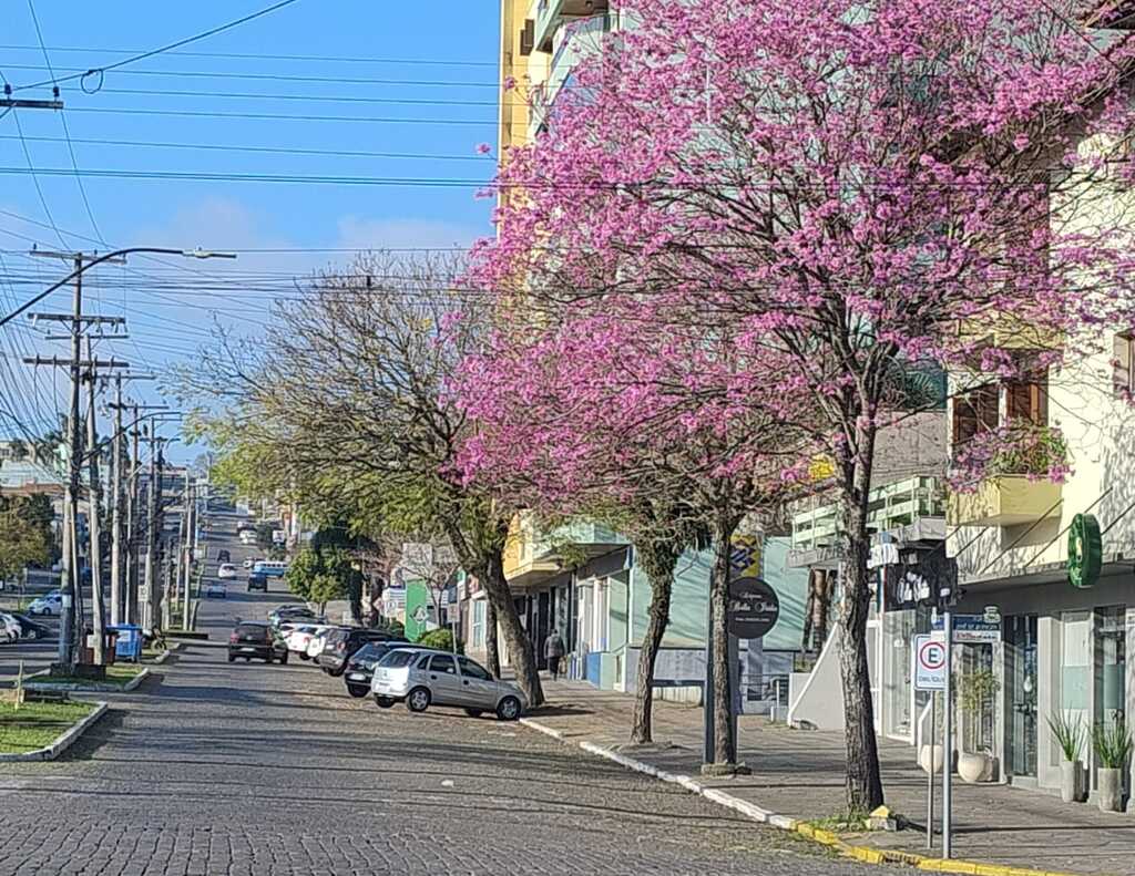 Sábado terá tempo firme e temperaturas em elevação
