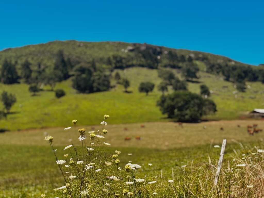 Sexta-feira será de sol e calor com máxima acima de 30ºC