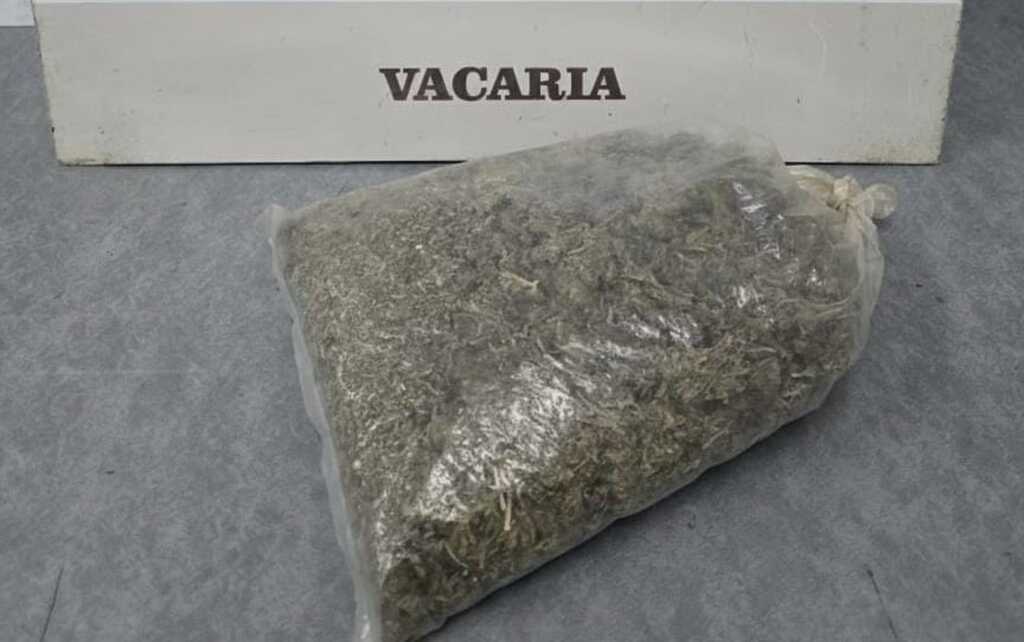 Homem é preso por tráfico de drogas em Campestre da Serra