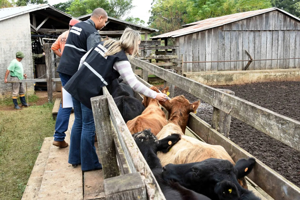 São Marcos perde Inspetoria e passa a contar com Escritório de Defesa Agropecuária