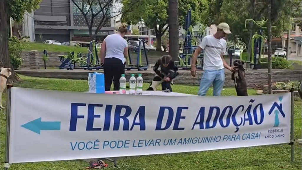 Campanha de adoção de cães acontece neste sábado na Praça Dante Marcucci