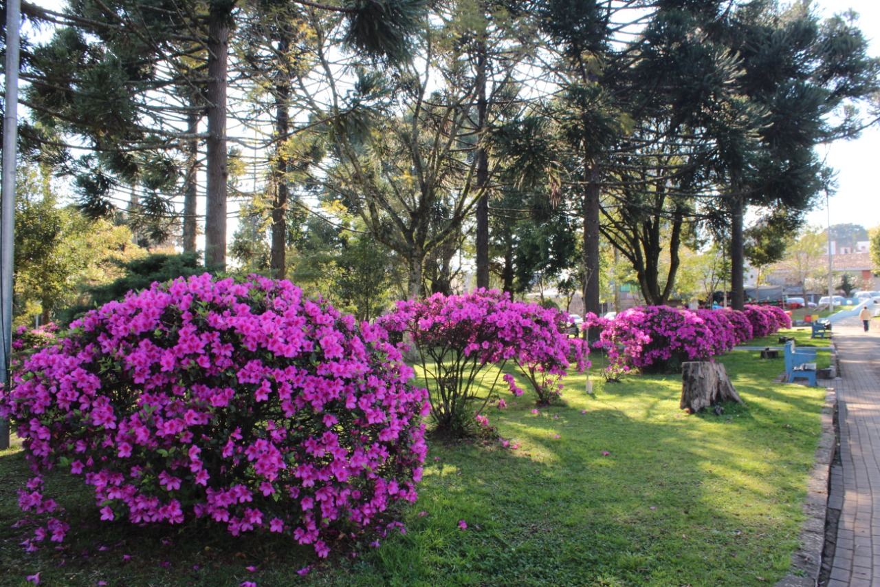 Novo ano começa com predomínio de sol e muito calor nesta quinta-feira