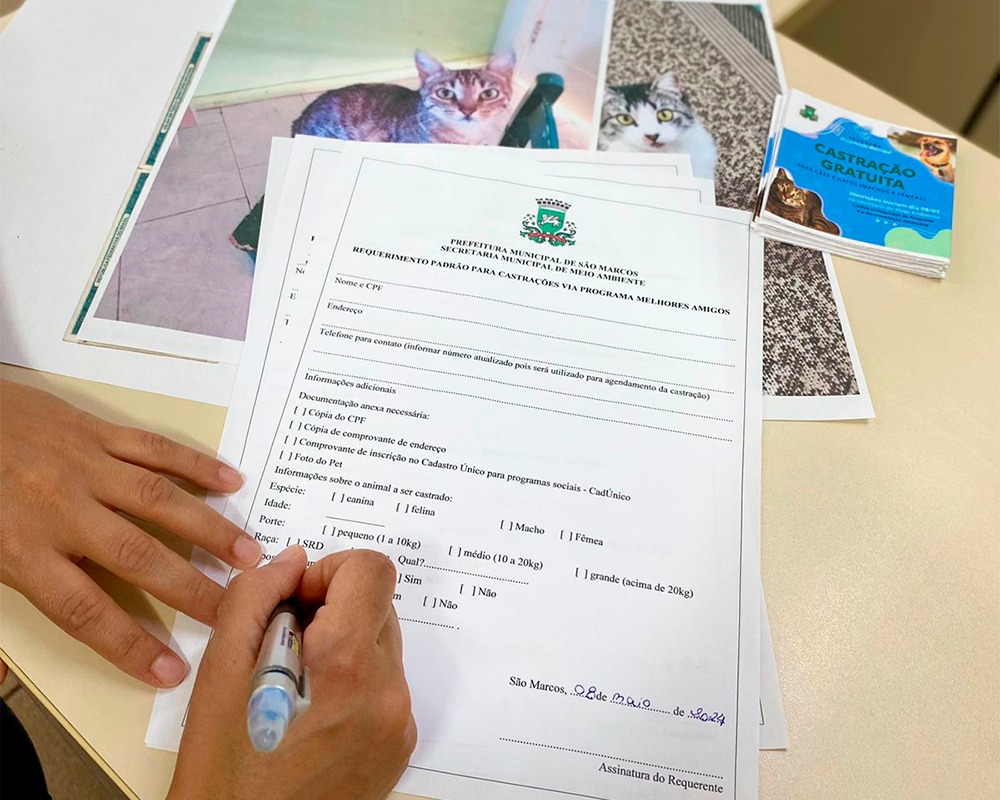 Projeto da Secretaria do Meio Ambiente oferece castração gratuita para cães e gatos em São Marcos